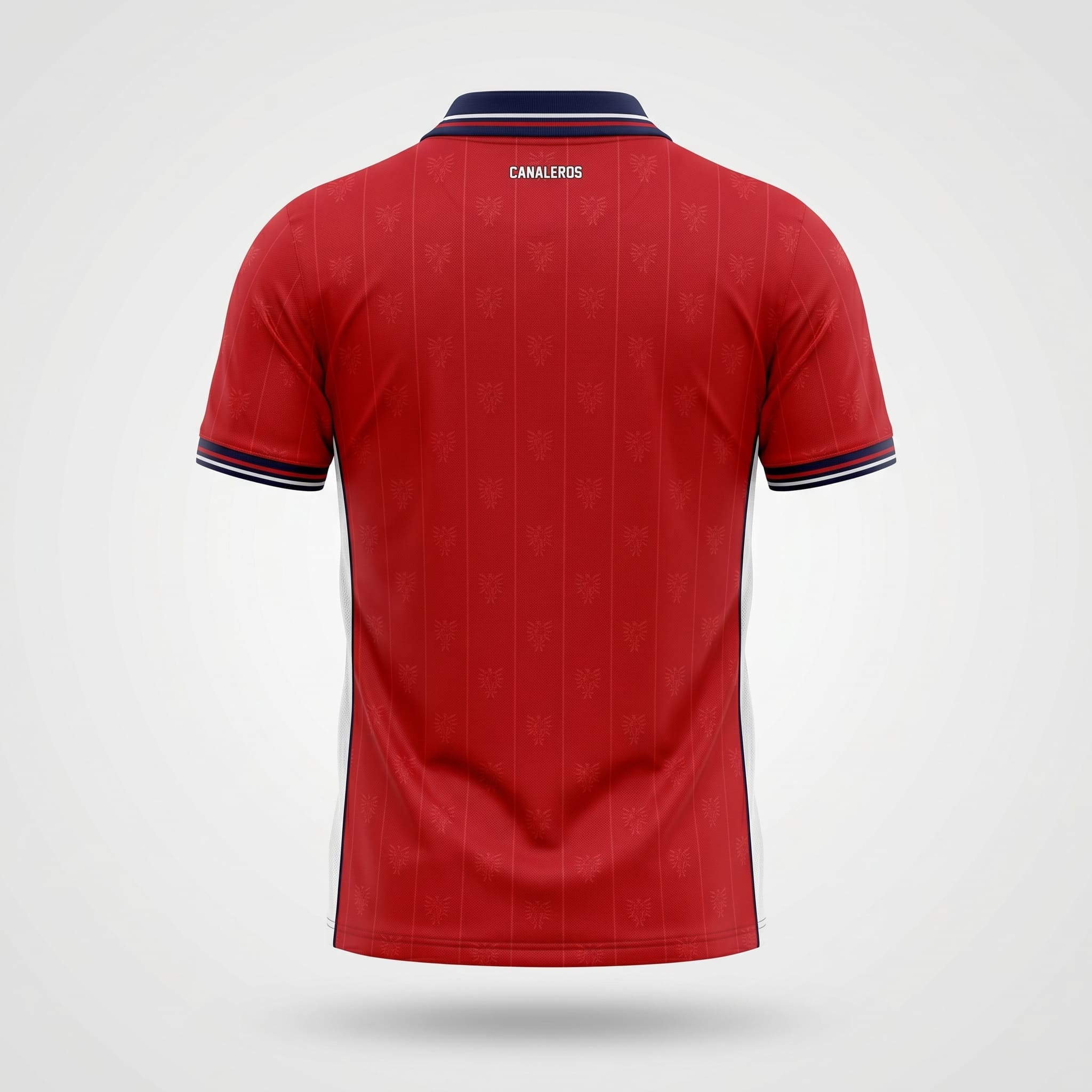 Maillot Panama Domicile 2026 – Image 2