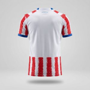 Maillot Paraguay Domicile 2026