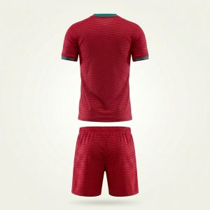 Ensemble Portugal Domicile 2026